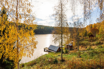 Bild av närområdet