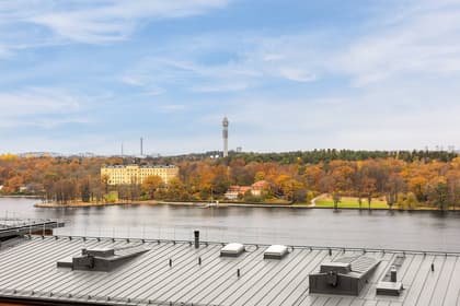 Bild av närområdet