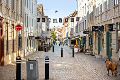 Bild av närområdet