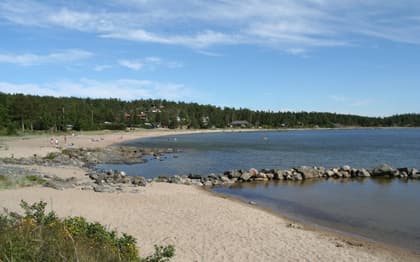 Bild av närområdet