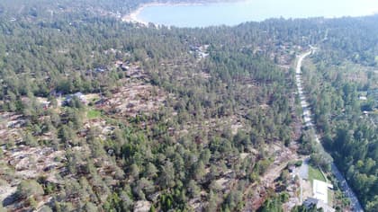 Illustrerad karta över fastigheten eller området