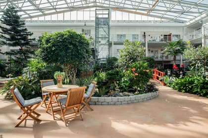 Bild av närområdet