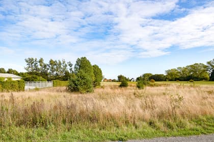 Bild av närområdet