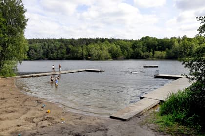 Bild av närområdet