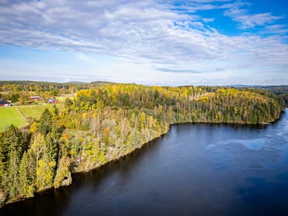 Bild av närområdet