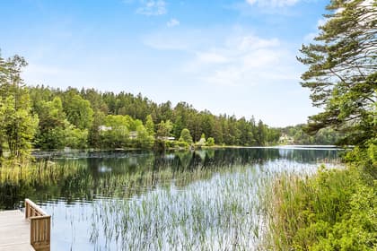 Bild av närområdet