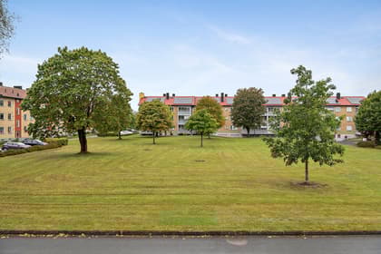 Bild av närområdet