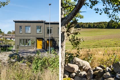 Bild av närområdet