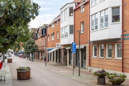 Bild av närområdet