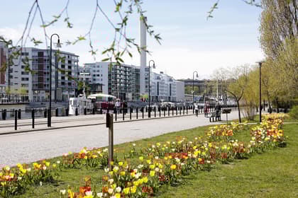 Bild av närområdet