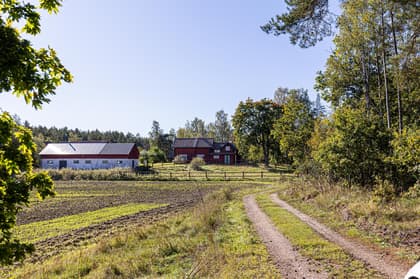 Bild av närområdet