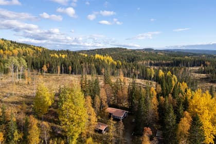 Bild av närområdet