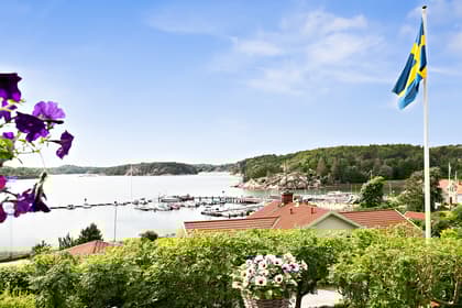 Bild av närområdet