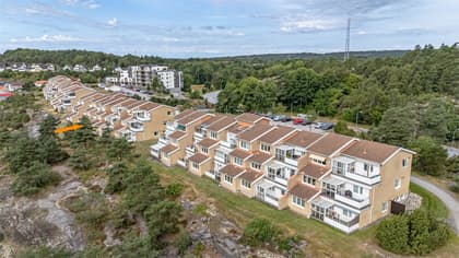 Bild av närområdet