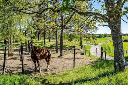 Bild av närområdet