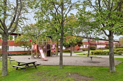 Bild av närområdet