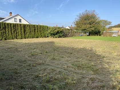 Bild av närområdet