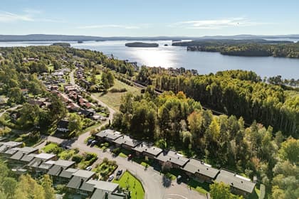 Bild av närområdet