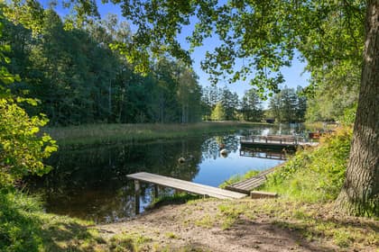 Bild av närområdet