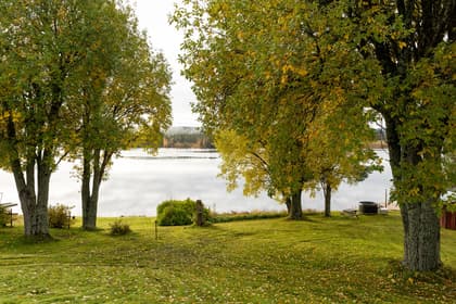 Bild av närområdet