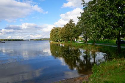 Bild av närområdet