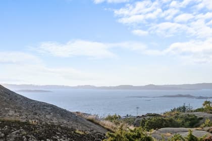 Bild av närområdet