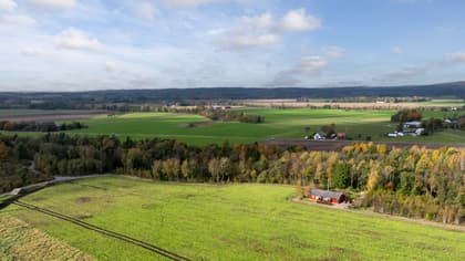 Bild av närområdet