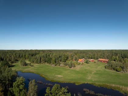Långstjärten, Malmköping