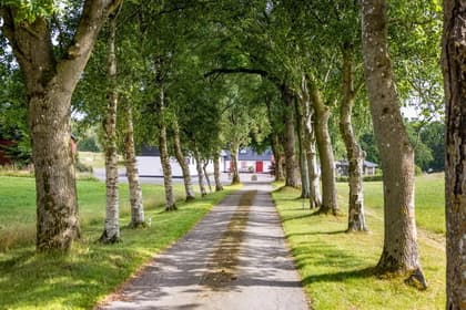 Bild av närområdet