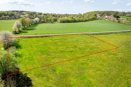 Illustrerad karta över fastigheten eller området