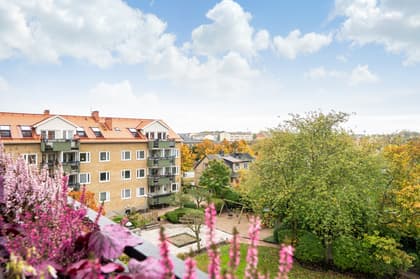 Bild av närområdet