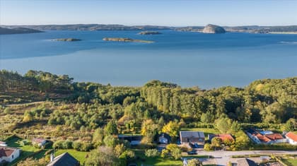 Bild av närområdet