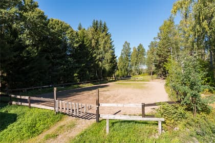 Bild av närområdet