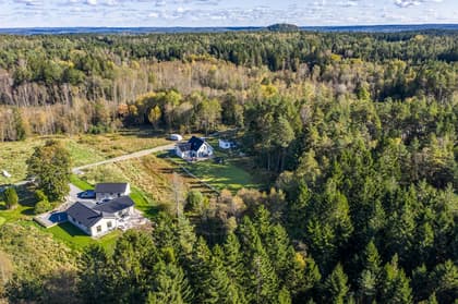 Bild av närområdet