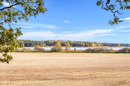 Bild av närområdet