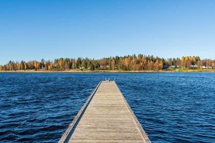 Bild av närområdet