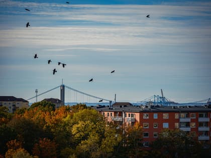 Balkong eller utsiktsbild