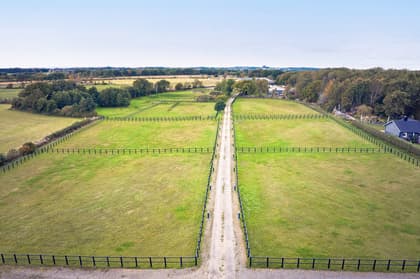 Bild av närområdet