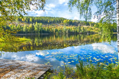 Bild av närområdet