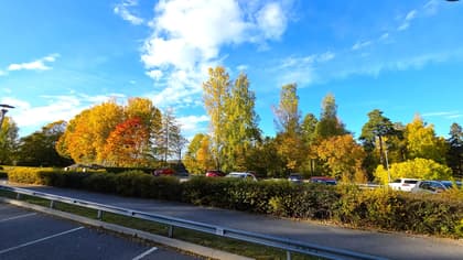 Heimdallsvägen 21, Blombacka