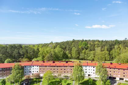 Bild av närområdet