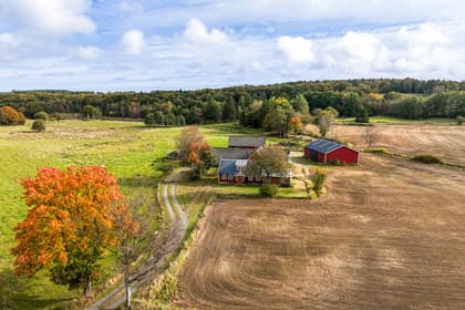 Bild av närområdet