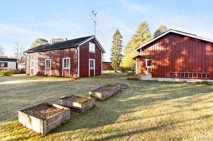 Bild av närområdet