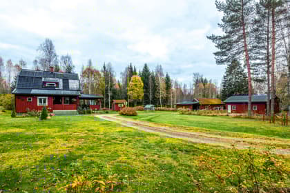 Bild av närområdet