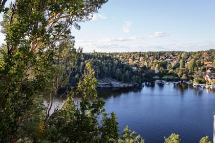 Bild av närområdet