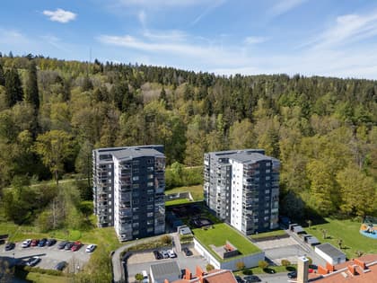 Bild av närområdet