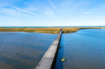 Bild av närområdet