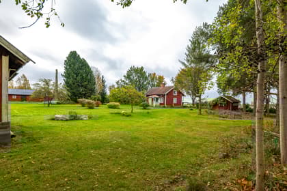 Bild av närområdet