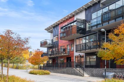 Bild av närområdet