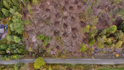 Illustrerad karta över fastigheten eller området